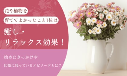 花や植物を育ててよかったこと1位は「癒し・リラックス効果」！始めたきっかけや印象に残っているエピソードとは？