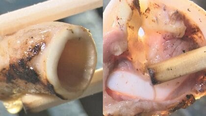 来店1億人目指す昭和50年創業の焼肉店　希少部位の「絶品ホルモン」がクセになる…血管や声帯の軟骨も