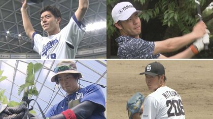 戦力外通告のその後…元プロ野球選手2人の次なる挑戦に密着　ゴルフとイチゴで再起目指す