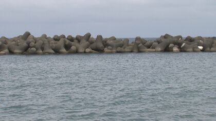 新潟の海水浴場で小2男児が溺死　母親と妹を追ってトイレに向かったあと行方不明に…海保｢子どもから目を離さないで｣