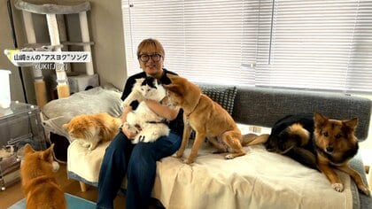 「保護犬のために何かしたい」飼育放棄や虐待で人に恐怖心を持つ“保護犬専門”のドッグトレーナー　一匹でも多く楽しく幸せに暮らせるように