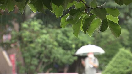 湿度が高いムシムシ天気 「気象病」に注意を 「湿度が上がると体から汗が蒸発するのが妨げられる」と医師も懸念 血流が悪くなり体のむくみや肩こり・頭痛も