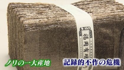 有明海のノリが記録的不作…「経験のない異常事態」 対応策は漁場に“カキ”【福岡発】