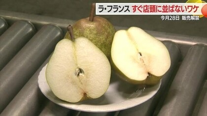 すぐ店頭に並ばないのにはワケがある！　ことしも甘いラ・フランス10月28日販売解禁　山形・天童市