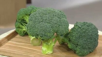 ブロッコリーが国の「指定野菜」に　効率よく栽培できると農家に人気　種子島で5戸→80戸に増えるも補助金需給には課題