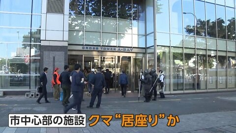 青森・複合施設にクマ２頭“居座り”続く　各地の住宅街・神社・大学で“アーバンベア” 急増　駐車場に四つんばいの人…ではなく光る目のクマ！