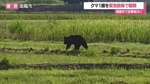 【クマ出没】JR赤湯駅など早朝に目撃相次ぎ愛露橋北側で緊急銃猟　2026年に入り3件目　山形・南陽市
