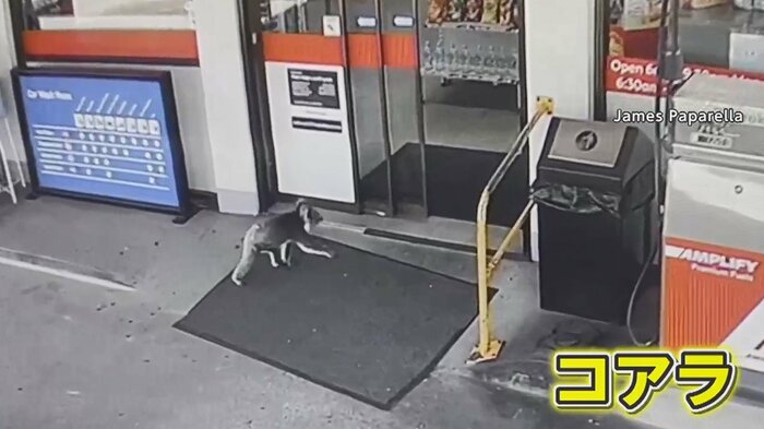 開いているドアから店の中へ