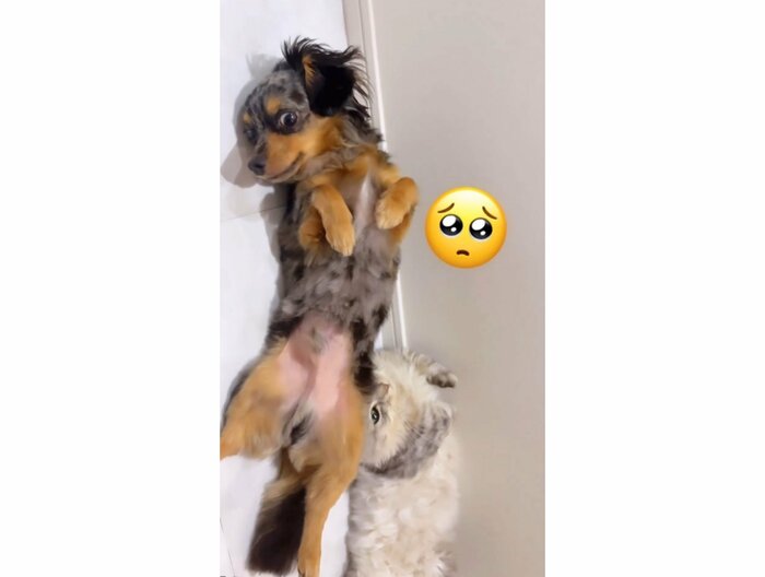 提供:チワックスの諭吉くん。さん