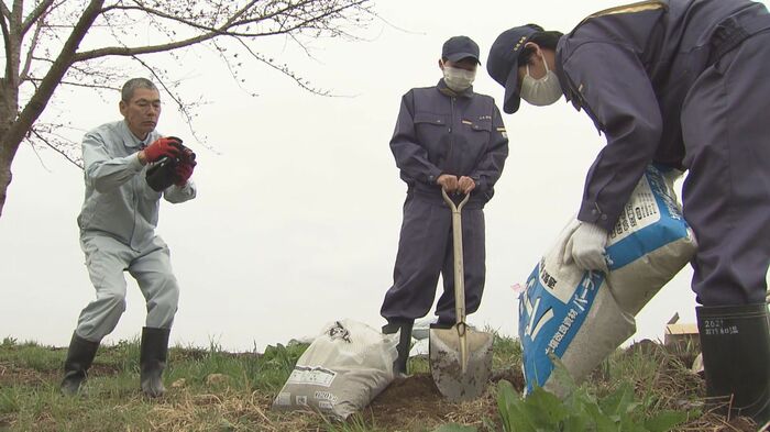 県農業高校の生徒による植樹活動