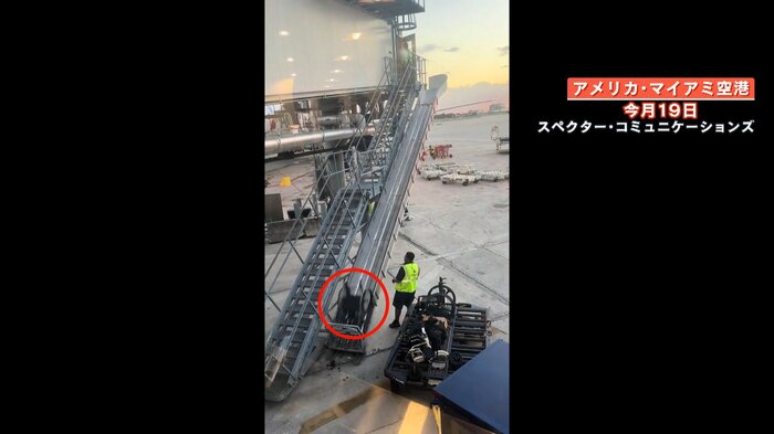 勢いよく柵にぶつかる車椅子