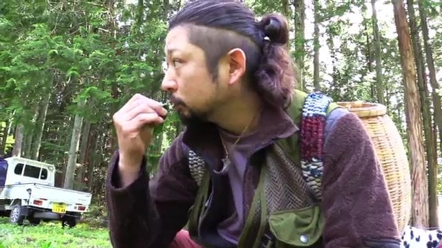 自ら採った山菜を味見 料理人・平山真吾