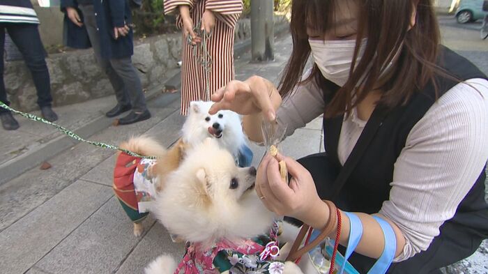 千歳菓子に夢中