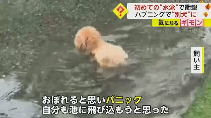 (FNN投稿サイト「ビデオPost」)