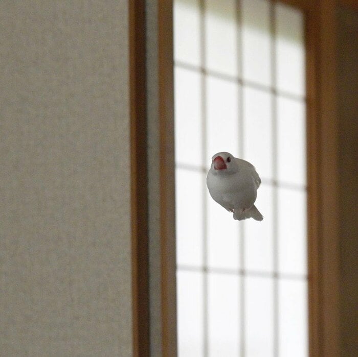 前から見るとこんな感じ