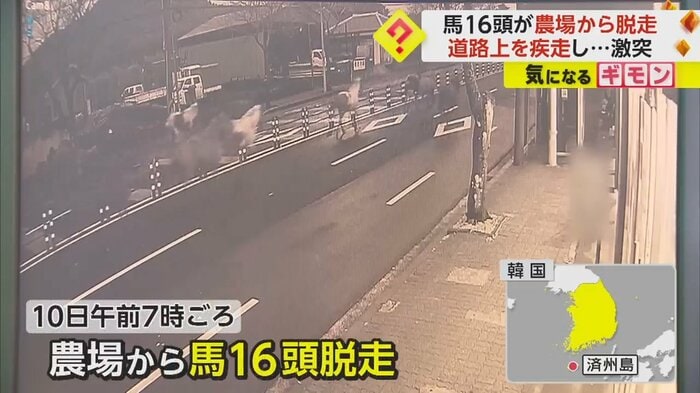 監視カメラの映像