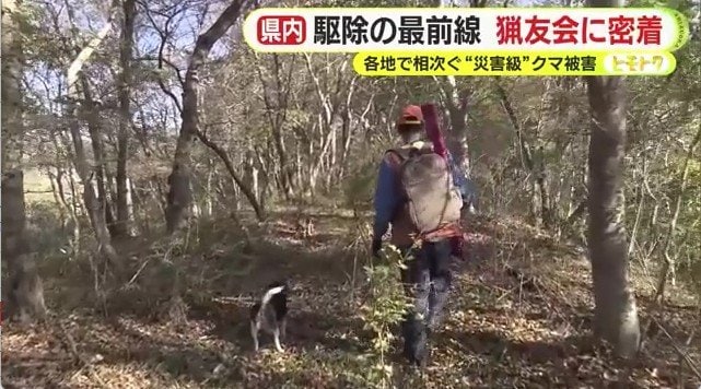 巻き狩りの様子（2025年11月16日）