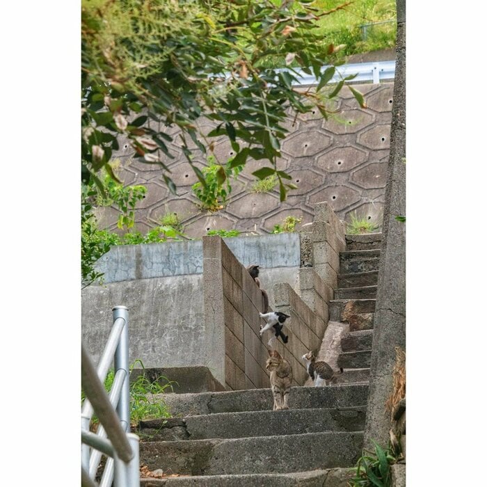 岡山県下津井田之浦（2022年9月撮影）
