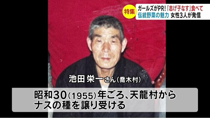 提供写真