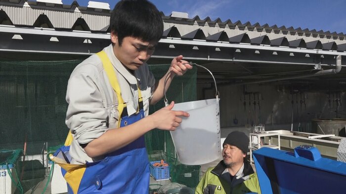 アカムツの稚魚の放流（2020年）