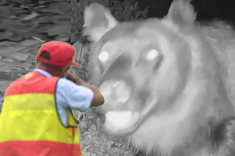 【ヒグマ速報】2025年度の北海道クマ捕獲数が1月末時点で2013頭と『過去最多』に＿前年度の2倍近くに増加＿通報件数も年間5260件と前年の約2倍＜北海道＞｜FNNプライムオンライン