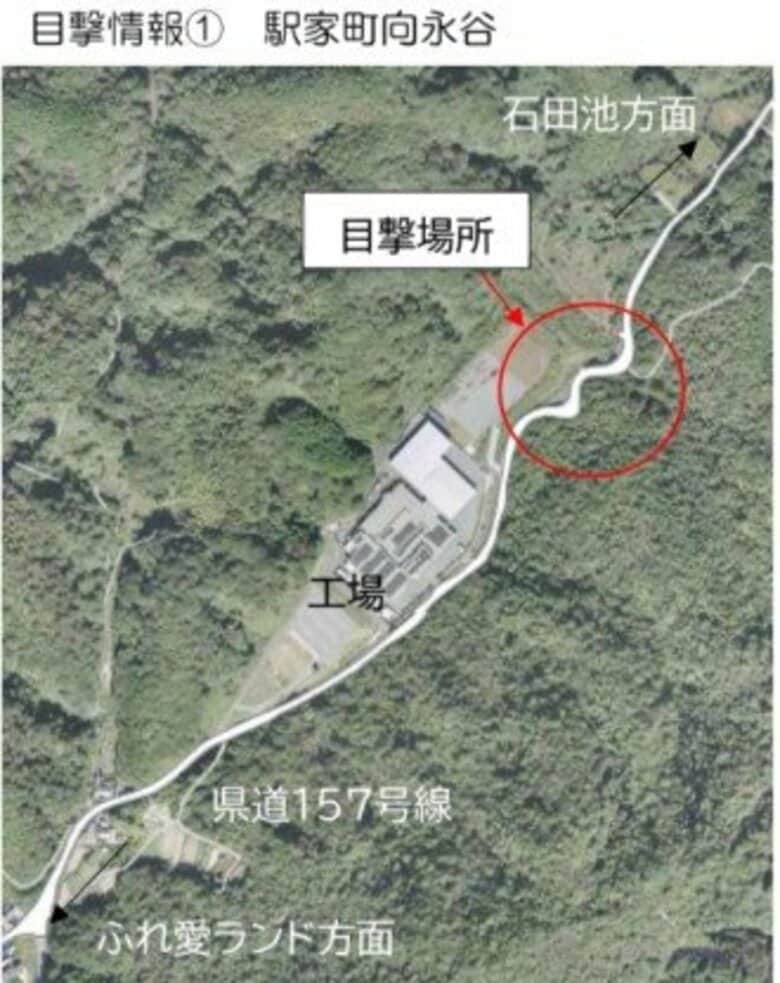福山市駅家町でクマ目撃相次ぐ　子グマらしき動物と体長１メートルほどのクマ｜FNNプライムオンライン