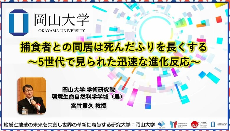 【岡山大学】捕食者との同居は死んだふりを長くする~5世代で見られた迅速な進化反応~