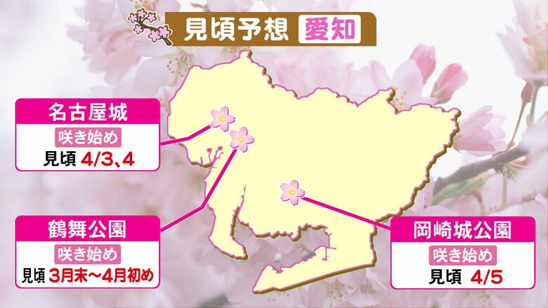 名古屋城でも桜咲き始める…東海3県のお花見スポット 満開の時期と“花粉”の予想 4月は中旬にヒノキがピークか｜FNNプライムオンライン