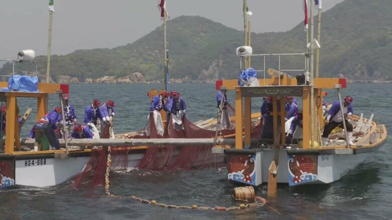 GWがスタート　広島・福山市の鞆の浦で初夏の風物詩「観光鯛網」｜FNNプライムオンライン