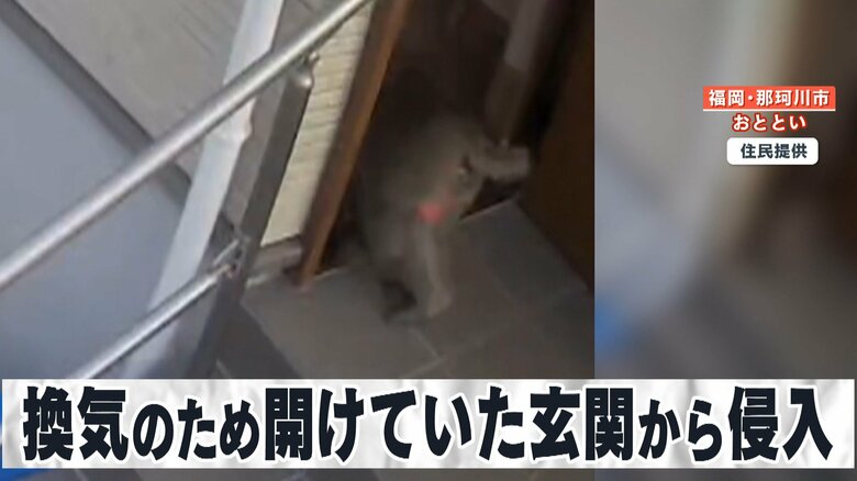 家の中からは子供の悲鳴も…