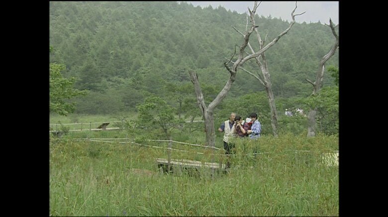 標高1230メートルにある沼原湿原（栃木・黒磯市）