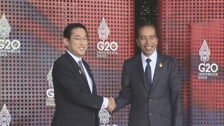 インドネシア大統領の出迎えを受ける岸田首相