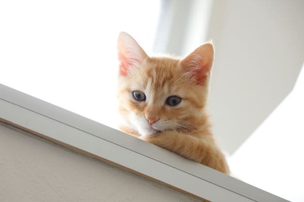 （画像はイメージ）