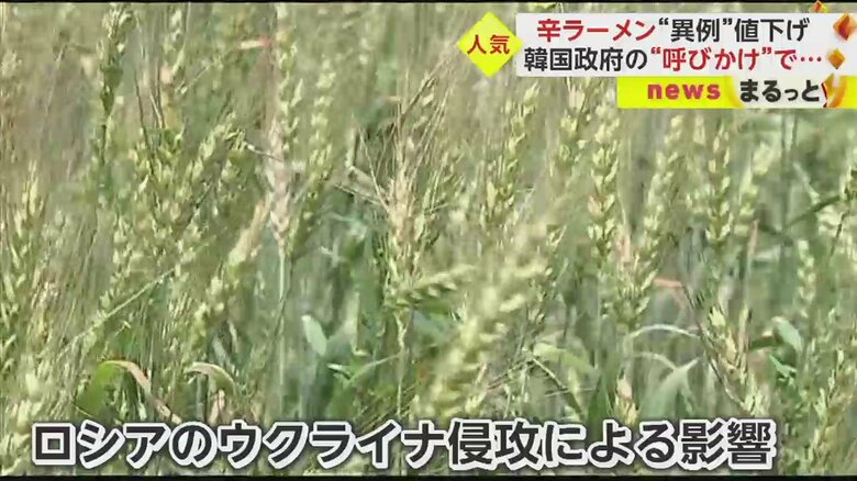 韓国政府が値下げを呼びかけたのは、暴騰していた小麦価格が下落したことだった