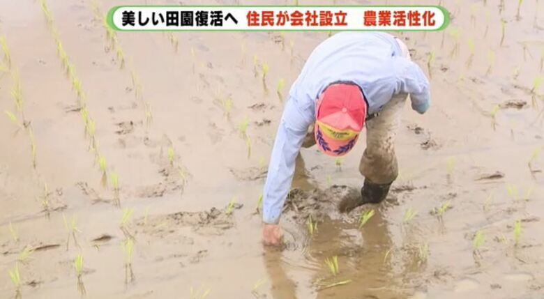 整備後に初めての田植え（2022年6月）