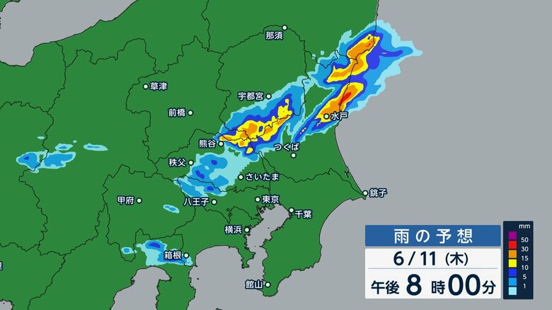 6月11日（木）午後8時の雨の予想