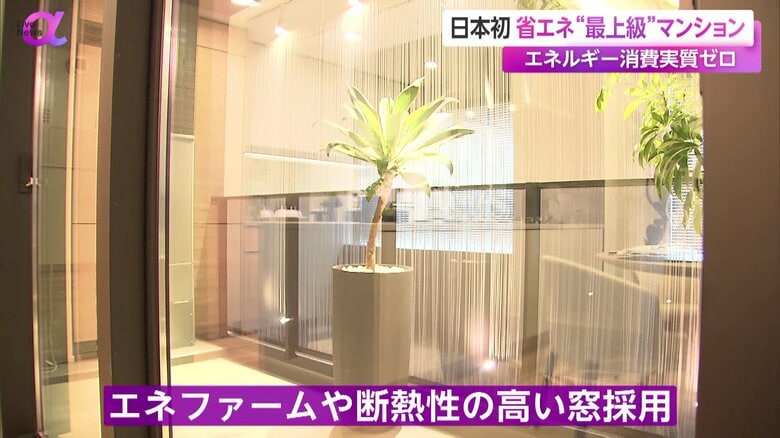 断熱性の高い窓を採用して省エネ性を高めた「ザ・ライオンズ世田谷八幡山