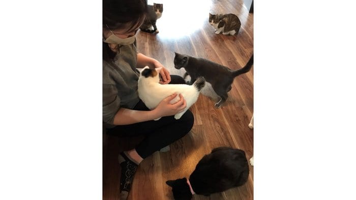 『ねこたまご』カフェでの様子