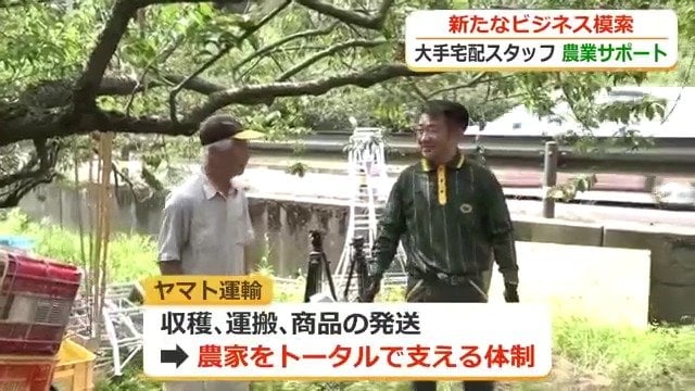 今後は他の農産物に対象拡大も