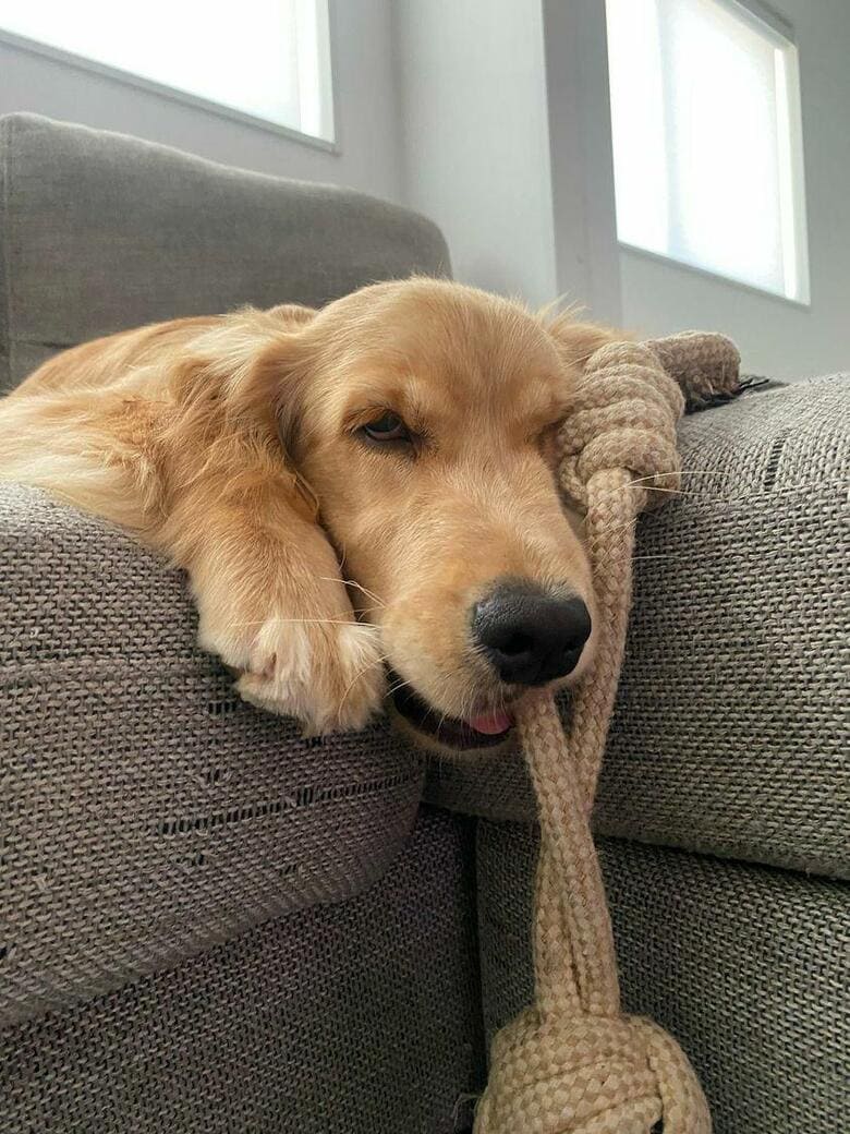 提供：関口和也さん