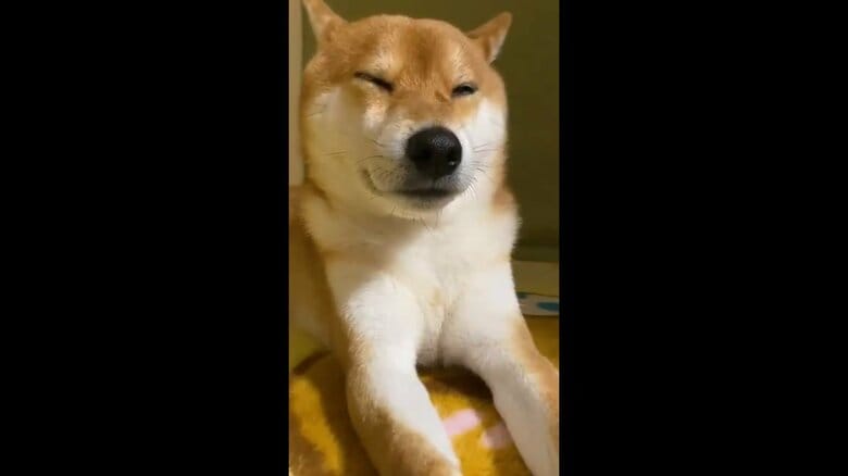 眠気と闘いながらお父さんの帰りを待つ時も…