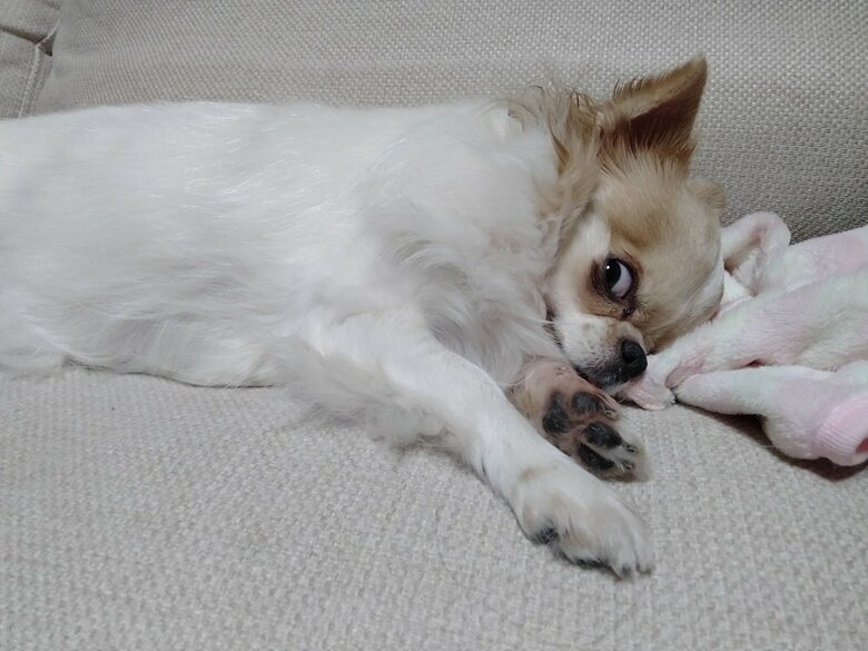 じろり