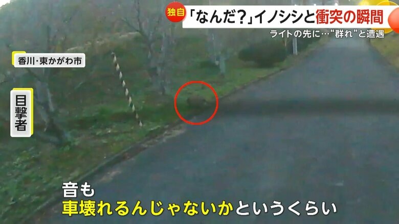 「音も車壊れるんじゃないかというくらい」と話す目撃者（撮影者：井上満さん）