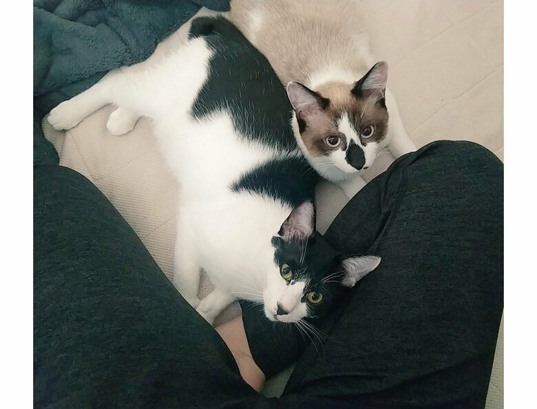 提供：かふぇらてさん