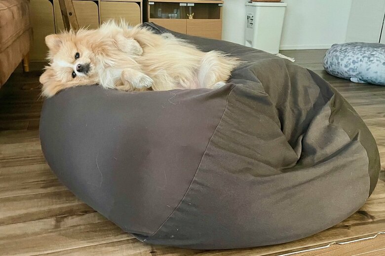 ぐでーんとリラックス