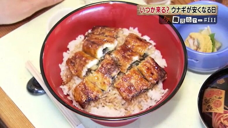 特別に試食させてもらった「人工ウナギ」
