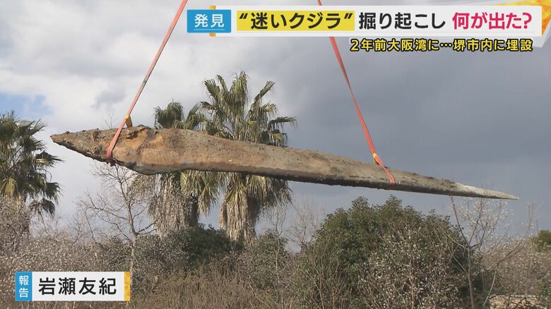 クジラの骨の一部