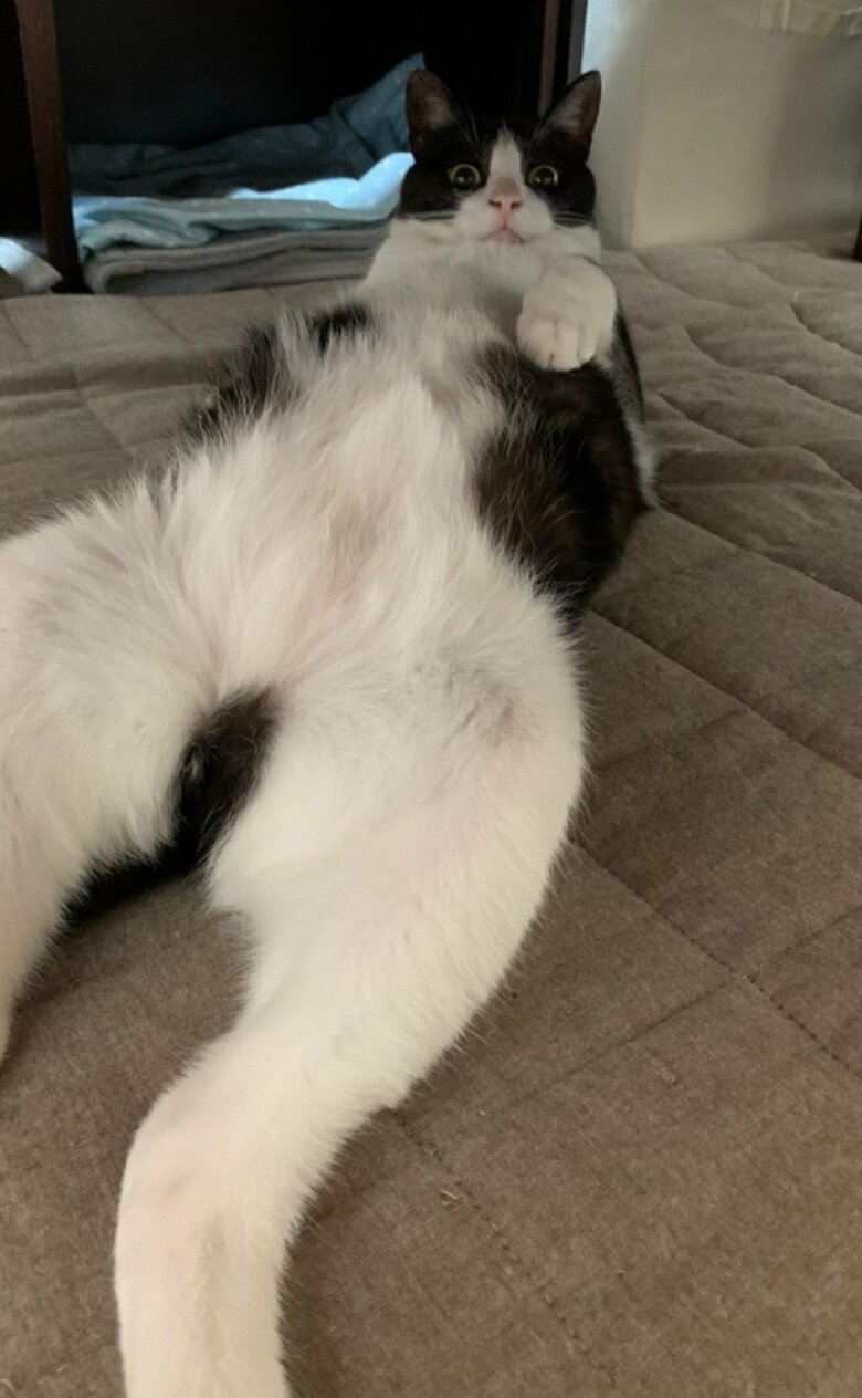 足が長い…空くん