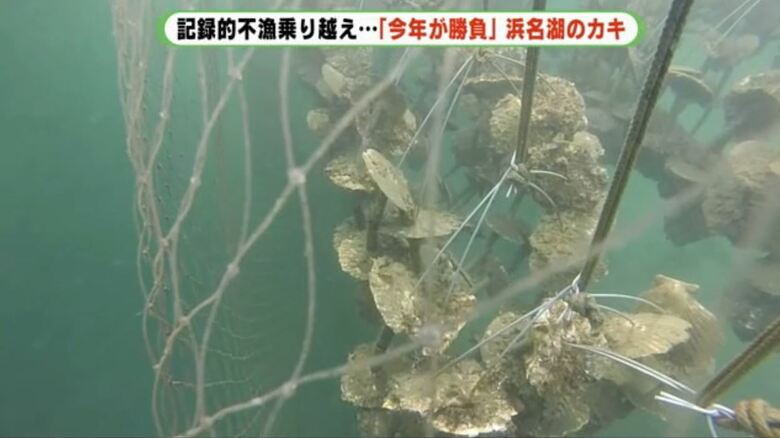 ネットの効果は出始めている