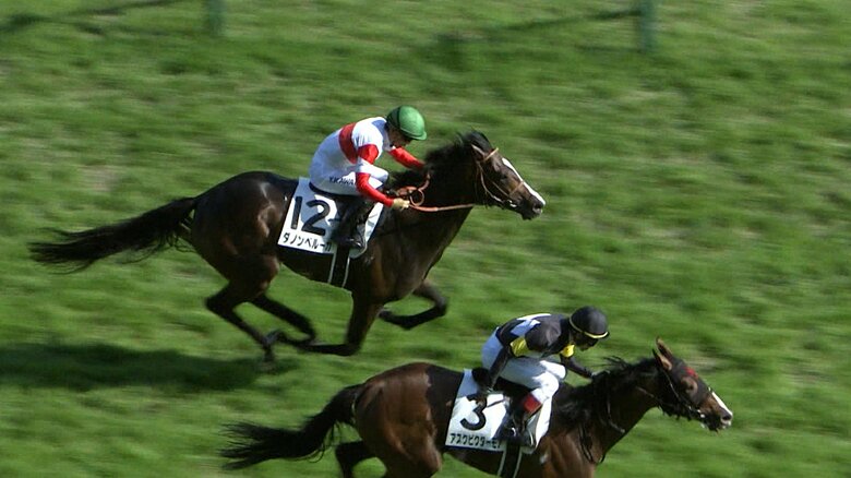 ダノンベルーガ（2022年日本ダービー）